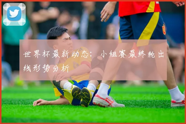 世界杯最新动态：小组赛最终轮出线形势分析