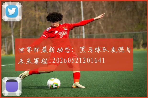 世界杯最新动态：黑马球队表现与未来赛程_20260521201641