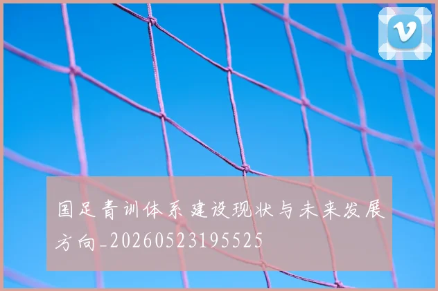 国足青训体系建设现状与未来发展方向_20260523195525