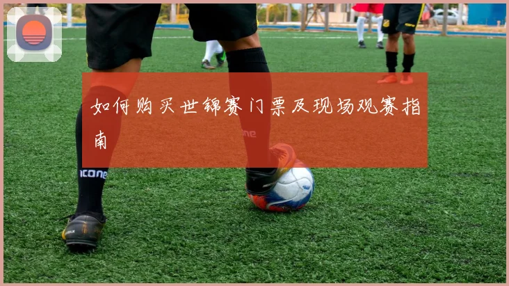 如何购买世锦赛门票及现场观赛指南